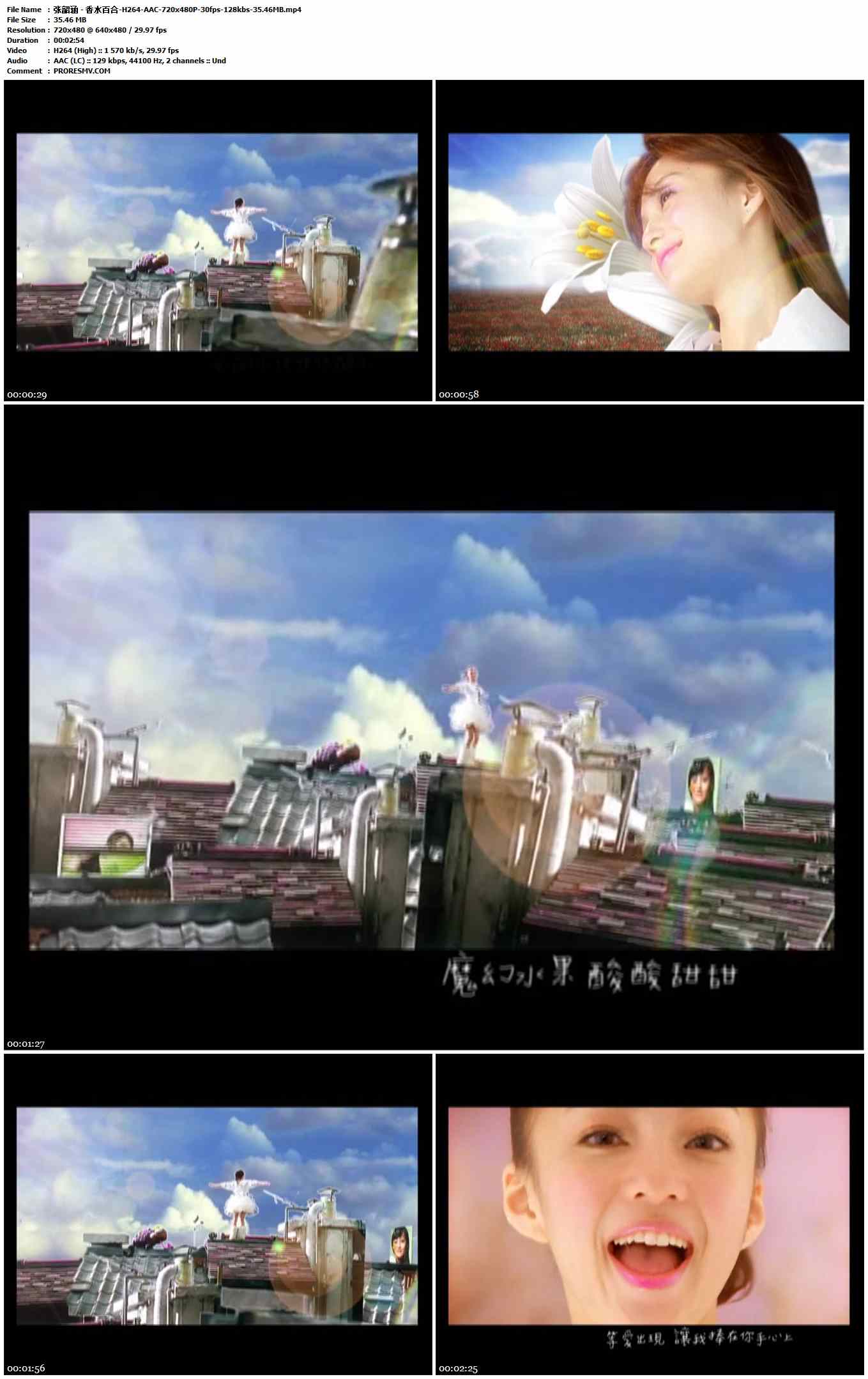 张韶涵 - 香水百合-H264-AAC-720x480P-30fps-128kbs-35.46MB官方MV_高清MV